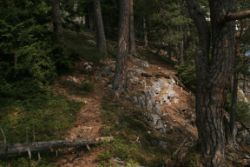 2011-04-24_Regina-F-Rau_Brunnstein-Spitze (049).JPG